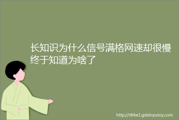 长知识为什么信号满格网速却很慢终于知道为啥了