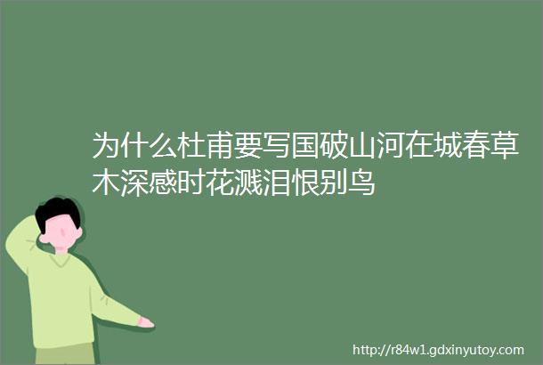 为什么杜甫要写国破山河在城春草木深感时花溅泪恨别鸟